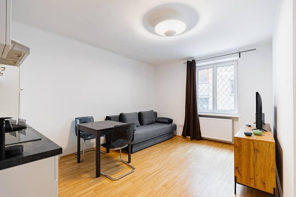 Newly-renovated, In The Heart Of Vienna