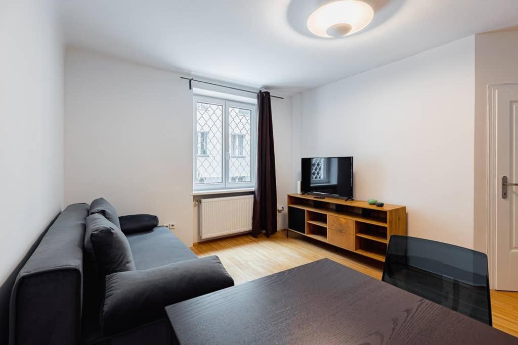 Newly-renovated, In The Heart Of Apartment Vienna